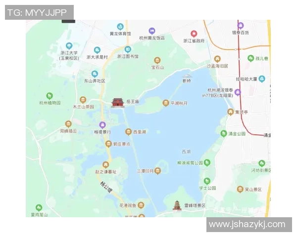 杭州排球队的控制革新探索与实践全景解析