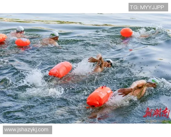 激情碰撞泳池边，畅游世界游泳争霸赛全程精彩回顾
