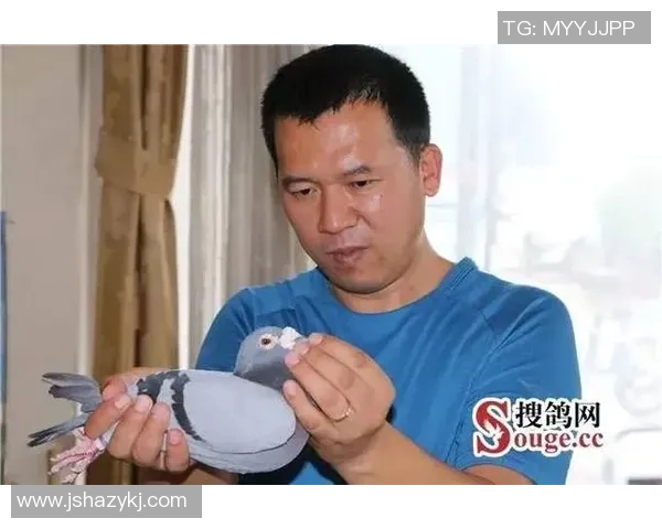 刘磊独家分享排球技巧与心得体会助你提升竞技水平与团队配合能力